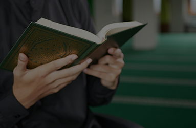 Quran Reading